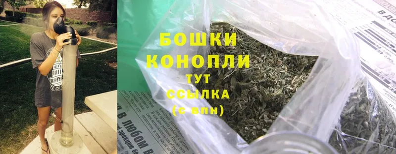 Канабис White Widow  Полярный 